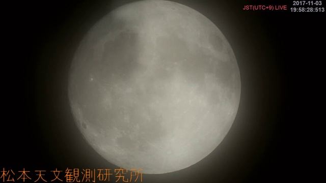 November Moon Live