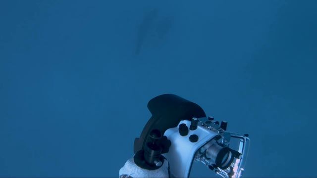 Freediving with a Great White Shark in Jupiter, FL смотреть онлайн