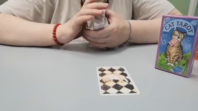 Сказочное новолуние🌑+распаковка таро котиков 🐈. тайм коды в описании. смотреть онлайн