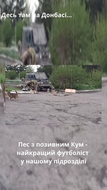 Поки затишшя, є час і для розваг смотреть онлайн