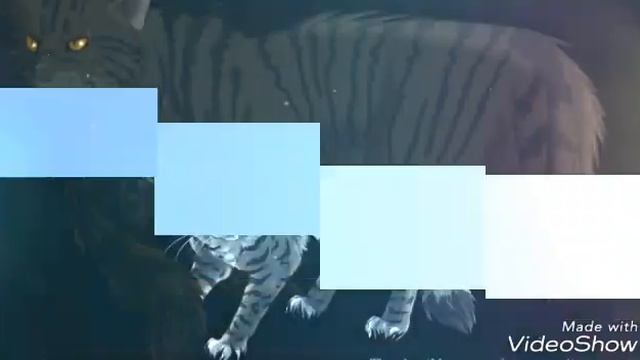 [Коты-Воители] Звездоцап, Звездолом и Коршун {Клип} ~Танцуй на костях~ смотреть онлайн