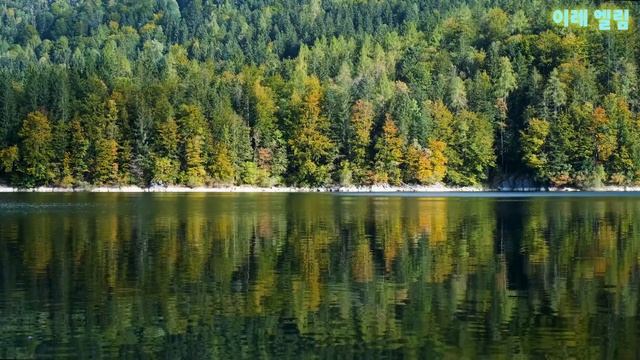 Mozart - Symphony No.41 Jupiter, K.551, 03.Menuetto Allegretto