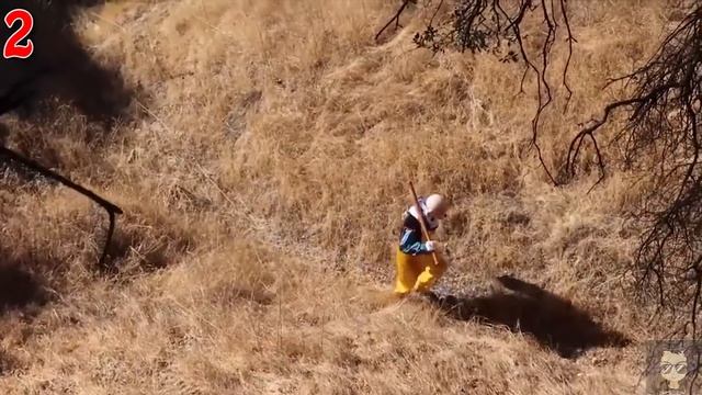 ТОП 5 Клоунов-Убийц Снятых На Камеру смотреть онлайн