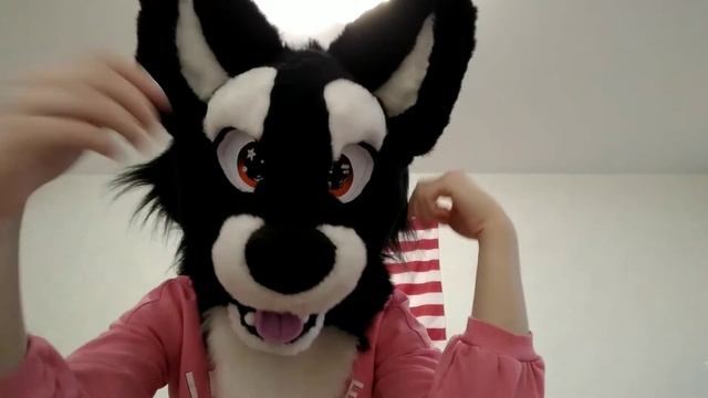 Fursuit Review / Фурсьют обзор