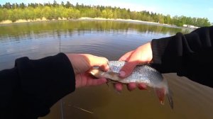 МОРМЫШИНГ. Секреты ловли мирной рыбы на спиннинг