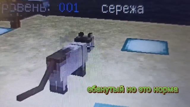 кот крутится смотреть онлайн