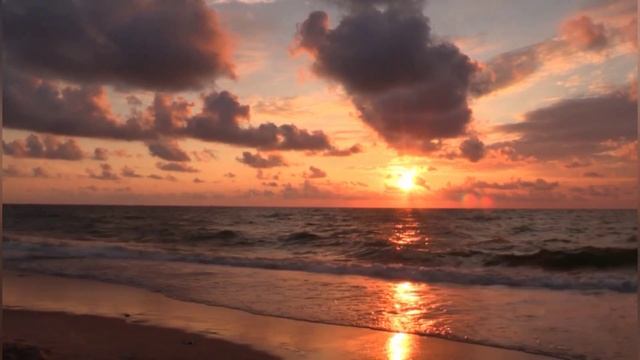 The Body On Somerton Beach