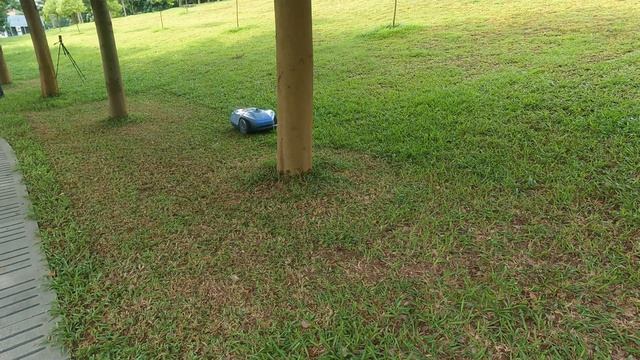 📢 Sneak Peek of Neomow X: Get Ready for an Exciting Mowing Demo!（ play at 5x speed） смотреть онлайн