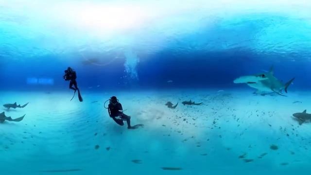 360 градусов видео смотреть онлайн