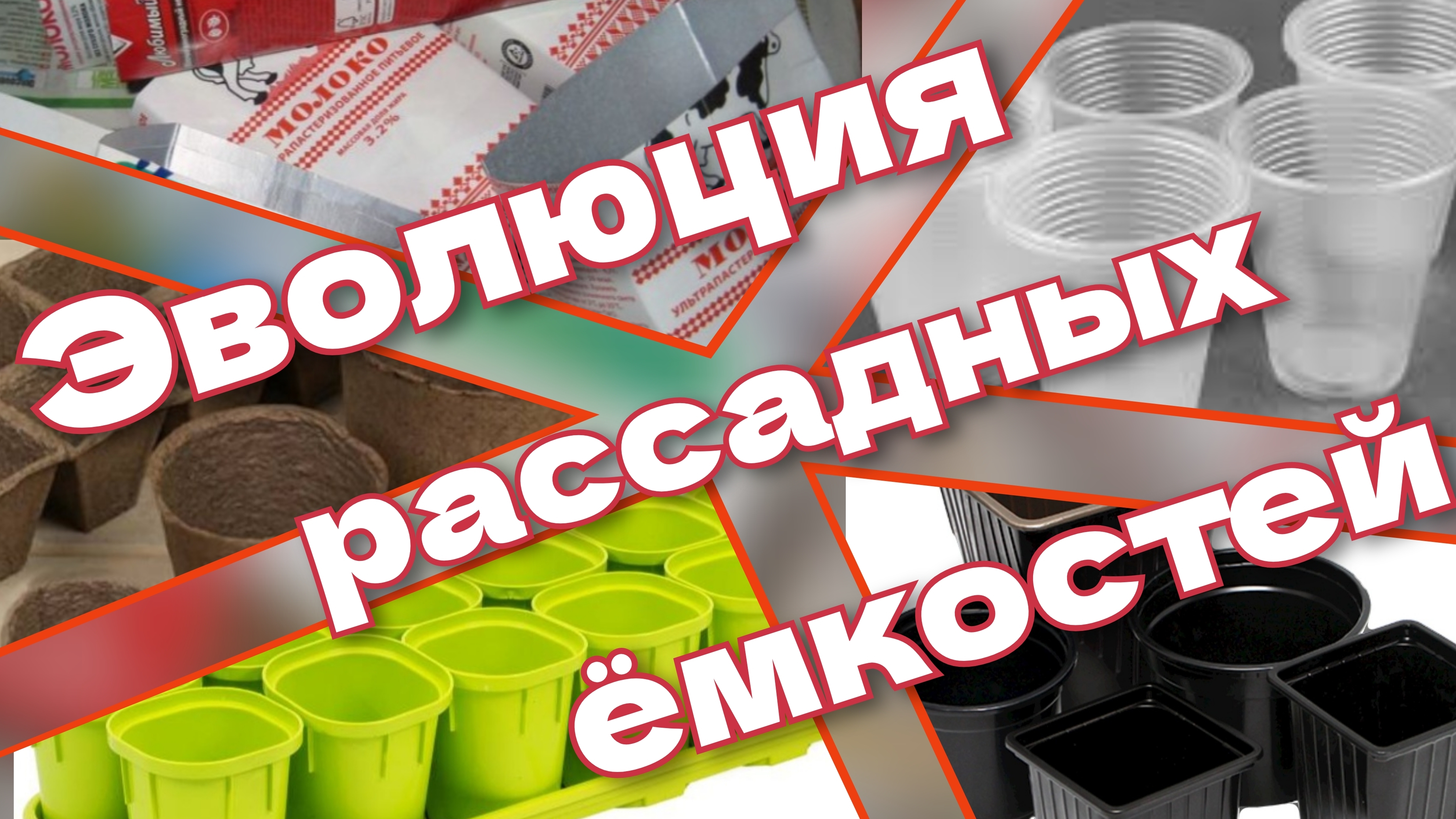 Горшки для рассады. Выбираем. Какие лучше? смотреть онлайн