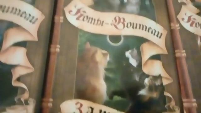 обзор на книги коты воители