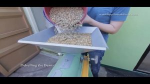 Wild Kopi Luwak Coffee Production