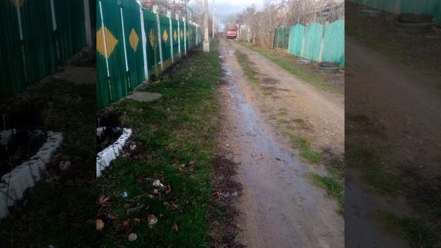 Цветы, кусты и кое-что о насождениях смотреть онлайн