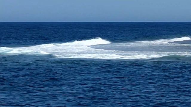 Egipt Marsa Alam 2021 смотреть онлайн