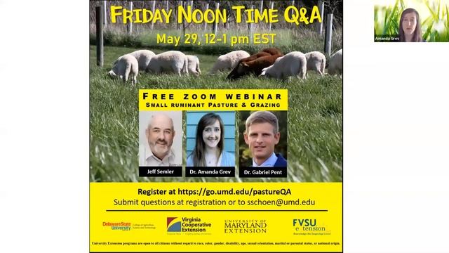 Small Ruminant Pasture & Grazing Q & A смотреть онлайн