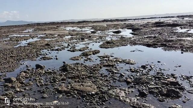Uran Beach Navi Mumbai vlog#nomadshubham #mrindianhacker смотреть онлайн