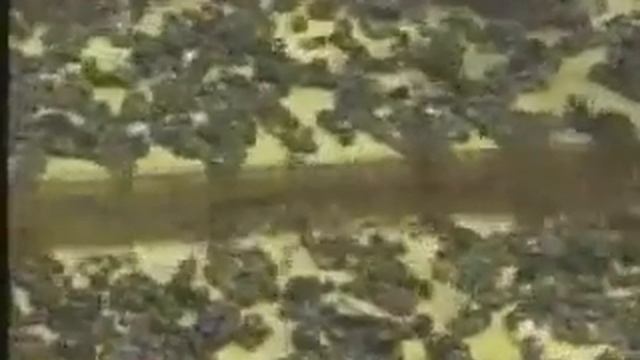 Чёрный алмаз ПРИШЕЛЕЦ из космоса смотреть онлайн