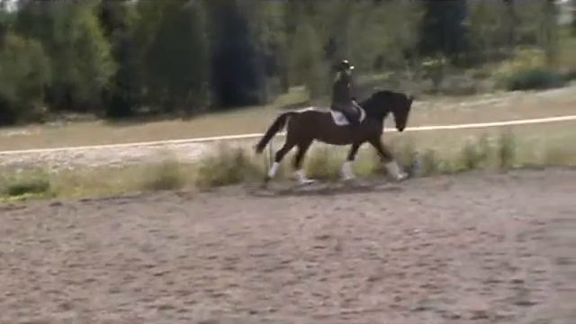 2010 09 04 Cometa смотреть онлайн