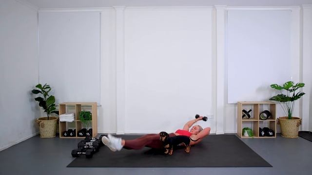 Single Dumbbell V Up (L) Side смотреть онлайн