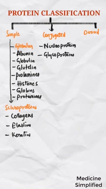 Proteins Classification || Classification of Proteins || Types of Proteins смотреть онлайн