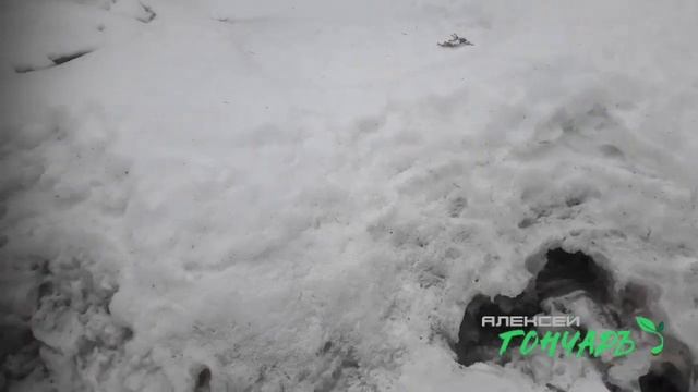 Гончаръ Молот богов