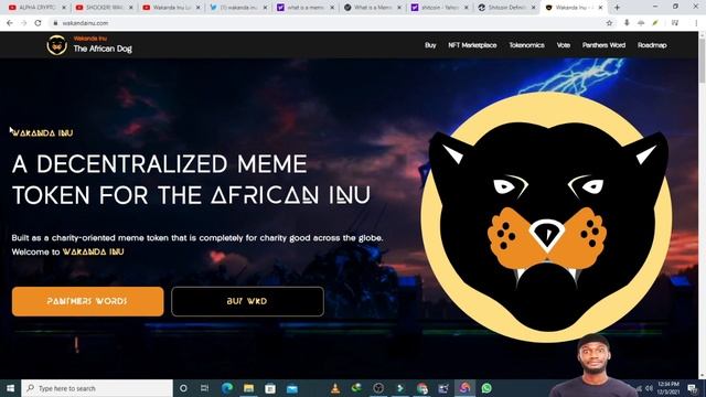 WAKANDA INU LATEST UPDATE | IS WAKANDA A POTENCIAL COIN | 3 DAYS TO BURN |90% PUMP | LET'S PARTY