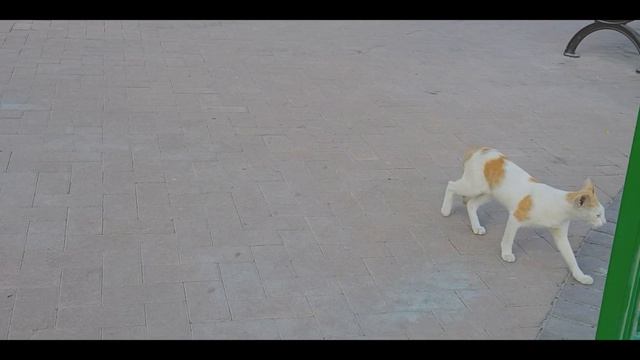 | A Walk To The Park | смотреть онлайн
