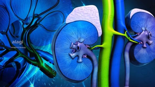சிறுநீரக செயலிழப்பு குணமாக சரியான வழி |Treatment of Kidney Failure | Kidney Disease | Home Remedies смотреть онлайн