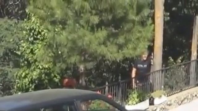 Бык против джипа смотреть онлайн