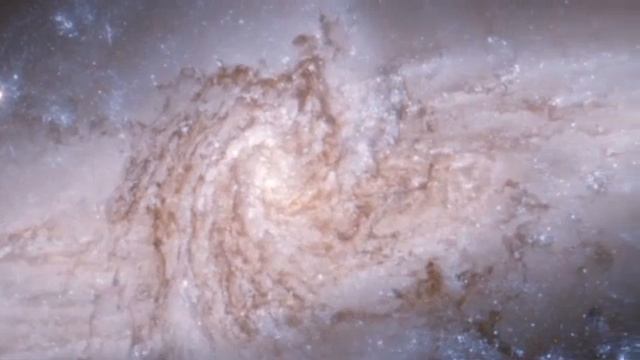 Constellation of Hydra смотреть онлайн