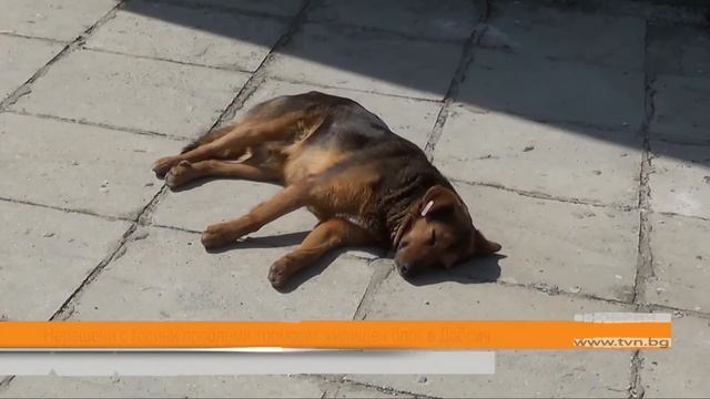 Регионална емисия новини 21:30 часа 13 април смотреть онлайн