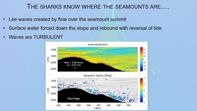Why does the oceanography matter to the Ascension Island MPA? смотреть онлайн