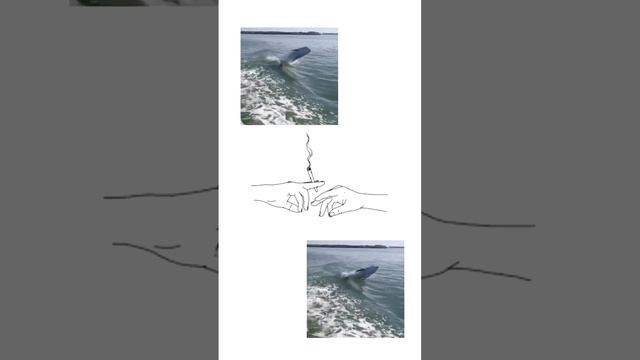 sentynal - Golden Stuff