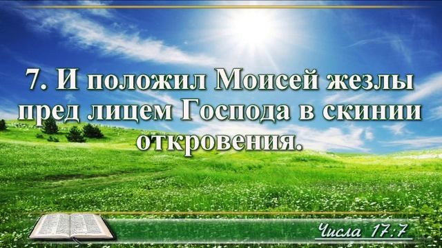 ВидеоБиблия Книга Числа без музыки глава 17 Соколов смотреть онлайн