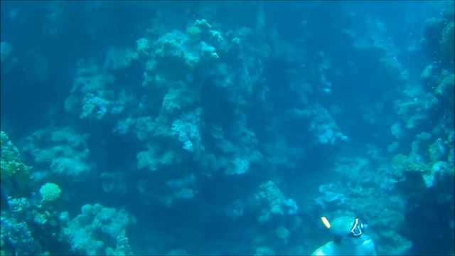 Marsa Alam - rodinná dovolenka смотреть онлайн
