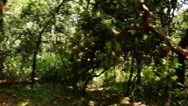 India, GOA смотреть онлайн