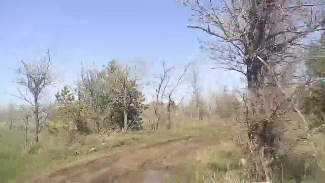 Прошёл час/Eine Stunde später смотреть онлайн