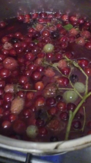 Семейный канал Лёвиных