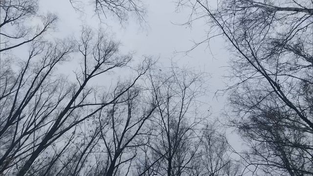 прелюдия смотреть онлайн