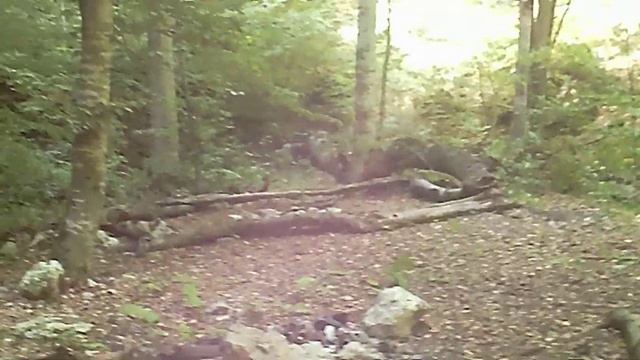 место где видели таинственный НЛО у села Алыч смотреть онлайн