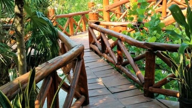 El Caracol Tulum 2* Тулум, Мексика смотреть онлайн