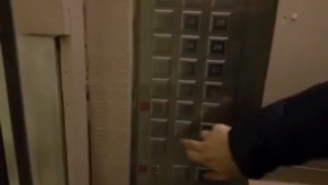 лифт в новостройке квартира (Владивосток,Россия🇷🇺) смотреть онлайн
