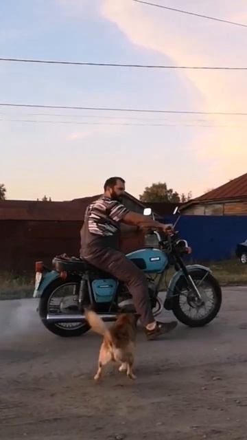 Собака куснула на Иж Юпитер 4 смотреть онлайн