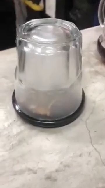 CAFE ELABORADO ARTESANALMENTE смотреть онлайн