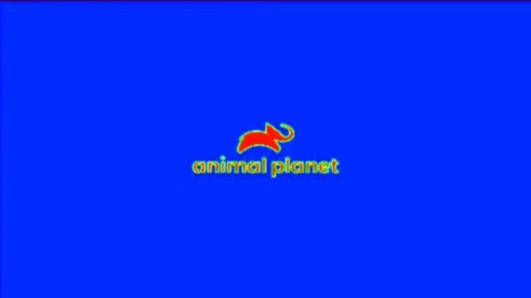 Заставка Animal planet С Эффектами N°1 Screensaver Animal planet With Effects N°1