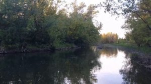 Петровна встаёт на SUP.