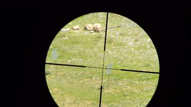 Hatsan HERCULES .25 Cal  With Scope Camera Shots And 50 Metres Grupman