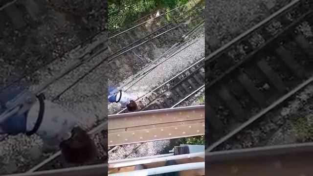 Хотела спрыгнуть под поезд? смотреть онлайн