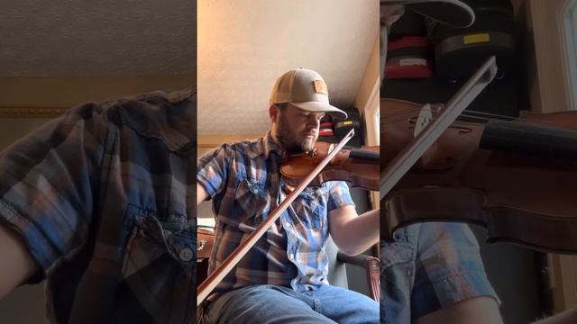 Cedar Music Model D Violin 4/4 смотреть онлайн