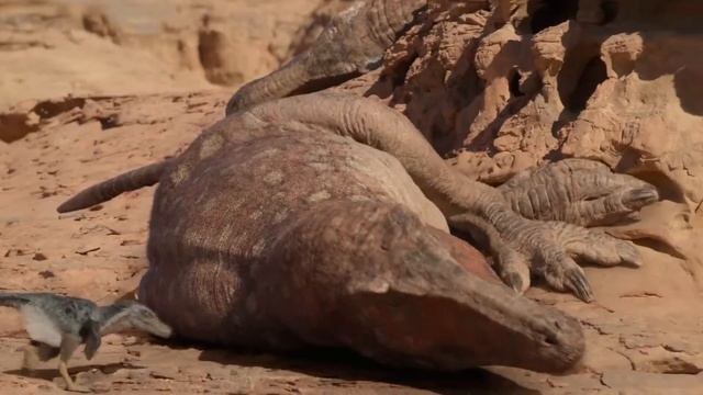 Prehistoric Planet - Velociraptor Hunting / Tarbosaurus